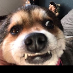 Meet your Posher, Brooklynn